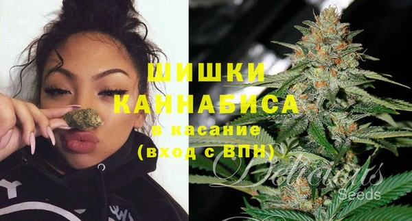 ГАЛЛЮЦИНОГЕННЫЕ ГРИБЫ Алзамай