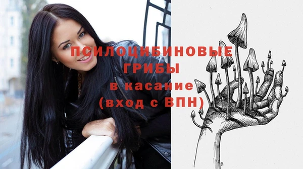 ГАЛЛЮЦИНОГЕННЫЕ ГРИБЫ Алзамай