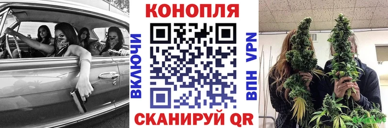 купить наркотик  Задонск  Бошки Шишки конопля 